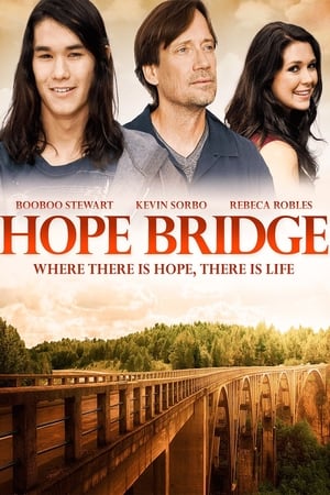 Poster Hope Bridge (2015)