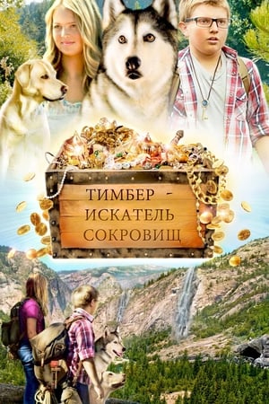 Poster Тимбер - искатель сокровищ 2016