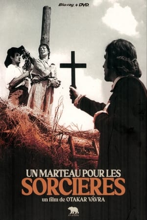 Image Le marteau des sorcières