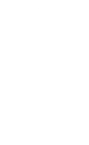 Flourish in Time