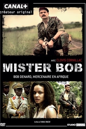 Poster Mister Bob 2011