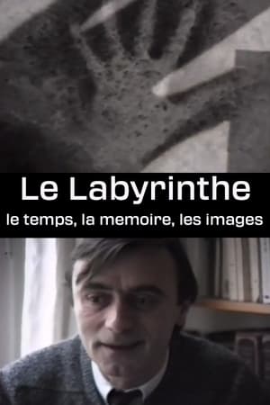 Le Labyrinthe - le temps, la memoire, les images