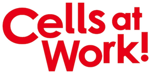 Cells at Work!