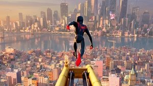 مشاهدة الأنمي Spider-Man: Into the Spider-Verse 2018 مترجم – مدبلج