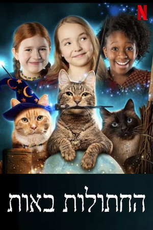 Image החתולות באות