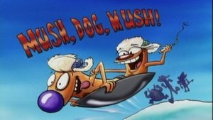 CatDog Mush, Dog, Mush!