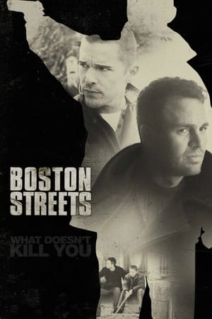 Poster Boston Streets 2008