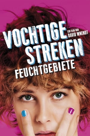 Poster Vochtige Streken 2013