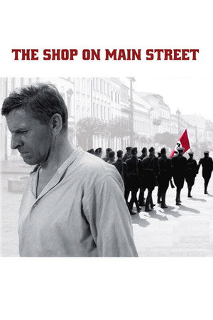 Постер фильма «Магазин на площади (1965)» — (17 из 24)
