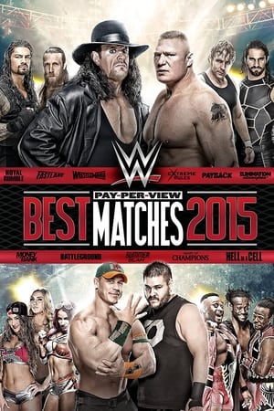 Poster WWE Best Pay-Per-View Matches 2015 2016