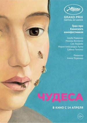 Poster Чудеса 2014