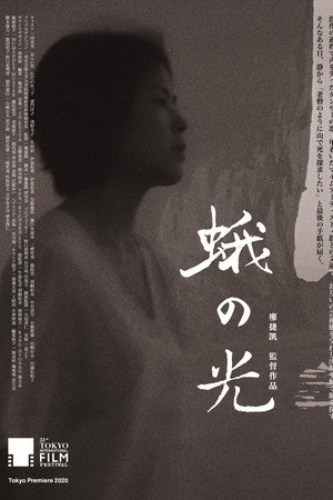 Light of a Burning Moth