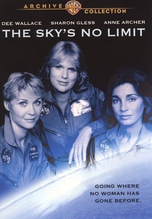 Poster The Sky's No Limit 1984