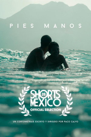 Pies, manos 4