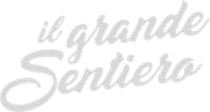 The Big Trail — Logos 1