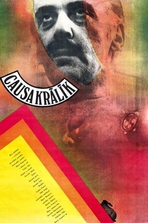 Poster Causa Králík 1980