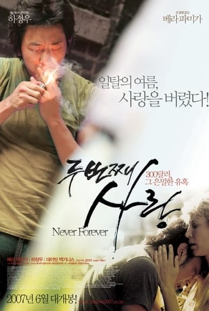 Poster Nunca por siempre 2007
