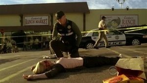 CSI: Crime Scene Investigation: 11×10