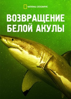 Image Возвращение белой акулы