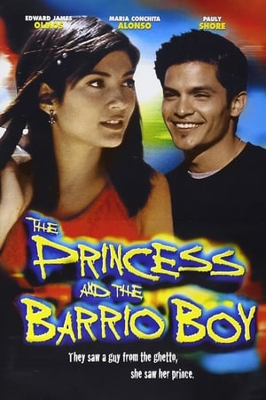 Poster The Princess and the Barrio Boy 2000