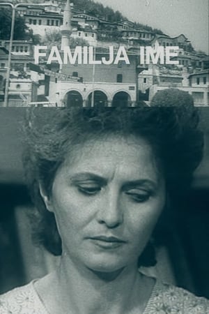 Poster My Family (1987)