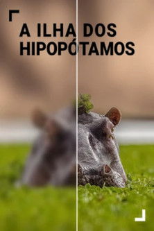 Island of the Hippos