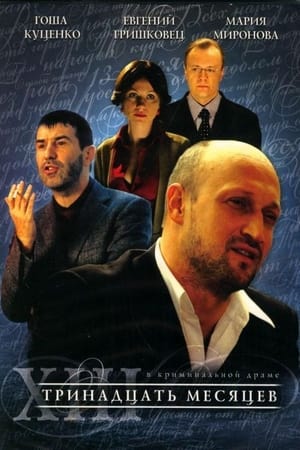 Тринадцать месяцев (2008)