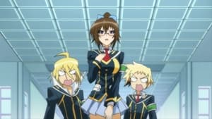 Medaka Box Crush You Today!