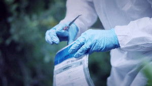 A Stream of Lies | StreamHub