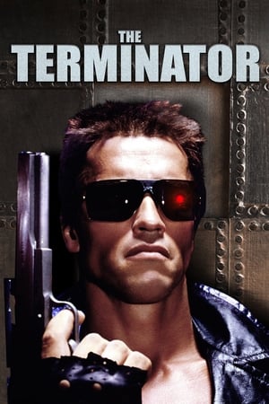 Download The Terminator (1984) Dual Audio {Hindi-English} BluRay 480p [350MB] | 720p [970MB] | 1080p [2.1GB]