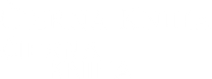 A Espiã — Logos 10
