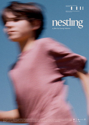 nestling (2026)