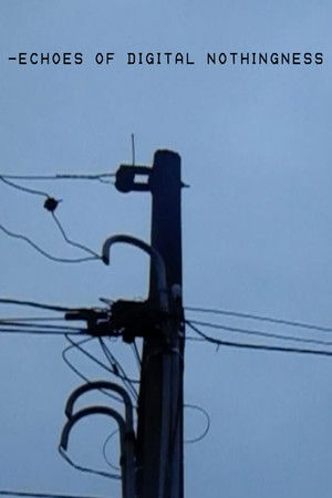 Echoes of Digital Nothingness