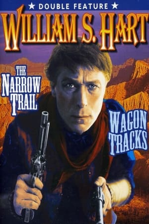 The Narrow Trail poster