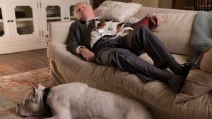 Ray Donovan: 5 Staffel 3 Folge