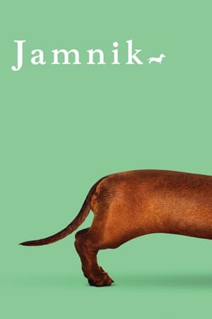 Poster Jamnik 2016