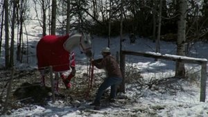 Heartland: 3×1