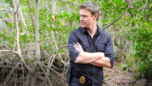 poster The Glades