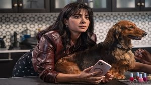 Paws in the City (2025)