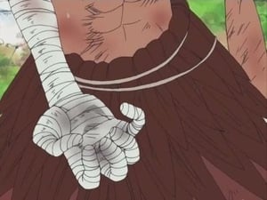 One Piece: Season 6 Episode 181