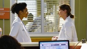 Grey’s Anatomy Season 11 Episode 12