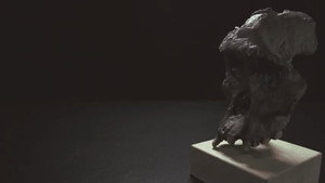Don’t Call Me Bigfoot (2020)