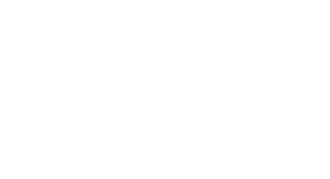 Sins