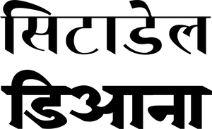 Citadel: Diana — Logos 6