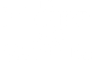 Le Bûcher des vanités