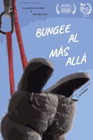 Bungee al más allá