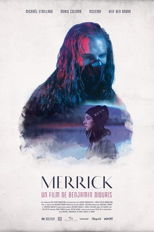 Poster Merrick 2017