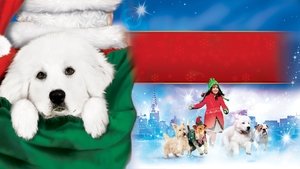 Santa Paws: En Busca de Santa Can