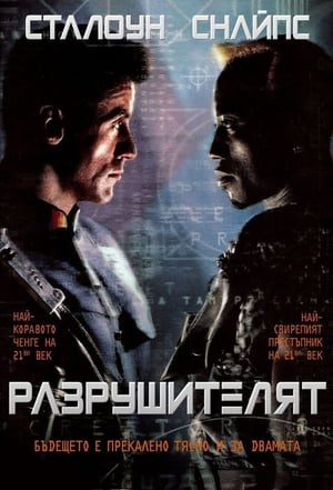 Разрушителят (1993)