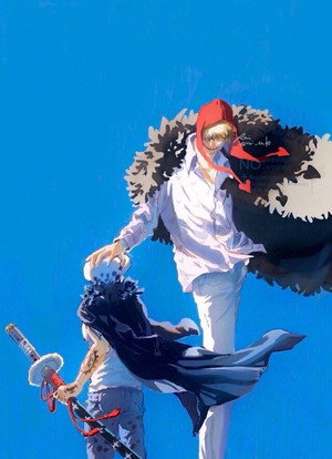 One Piece - Arc Dressrosa 2 - poster n°7